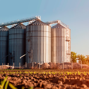 Silos e Galpão - SIPET, Remessas, Operação, Soluções Contábeis, Constituição, Escrituração, CNAE